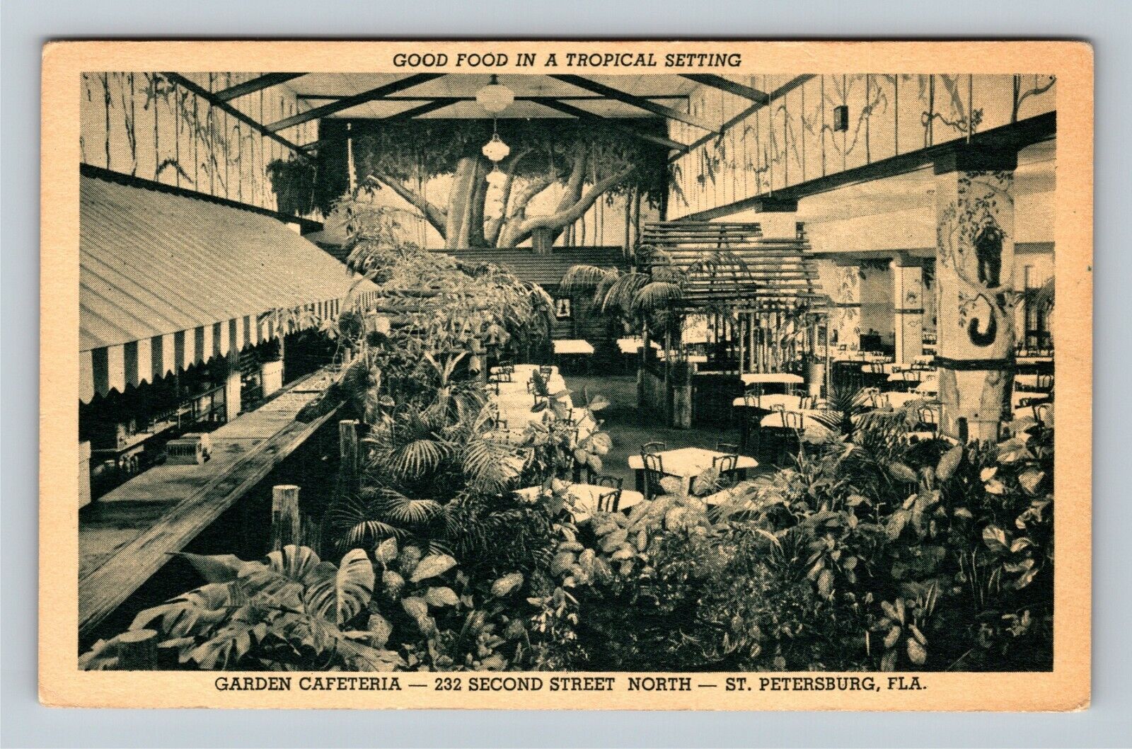 St. Petersburg FL-Florida, Tropical Garden Cafeteria Antique Vintage Postcard