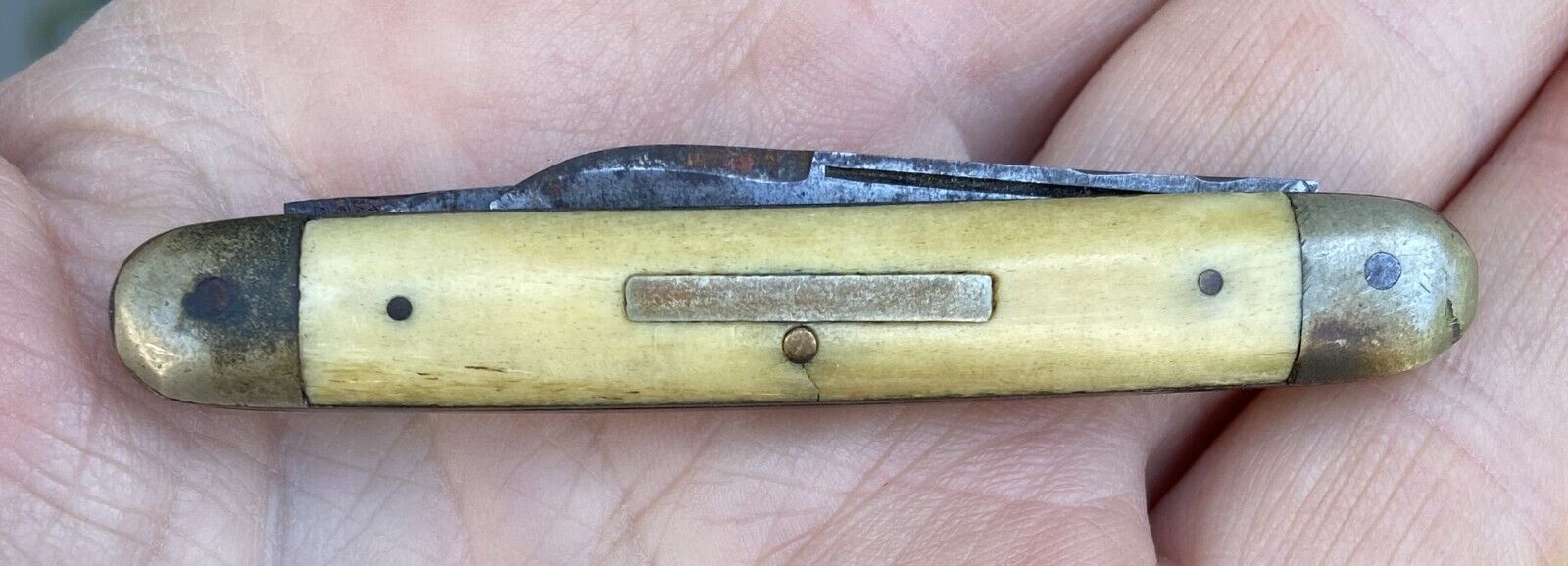 Old Vintage Antique HENRY WILTON German Bone Pocket Knife Pocketknife Germany