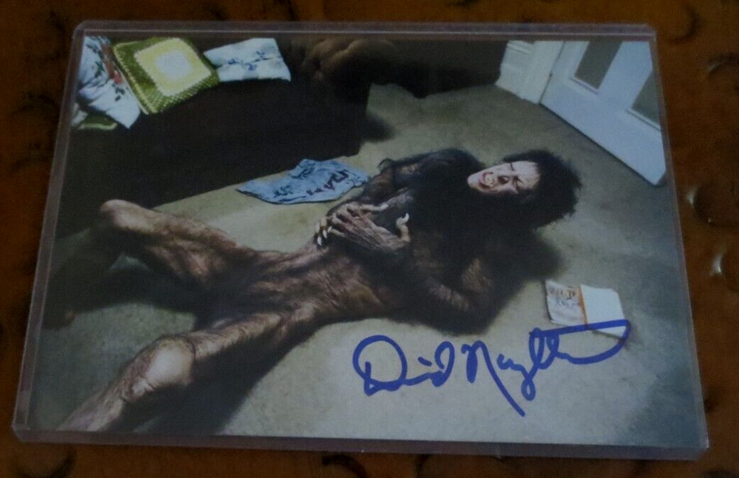 David Naughton signed autographed photo  An American Werewolf in London