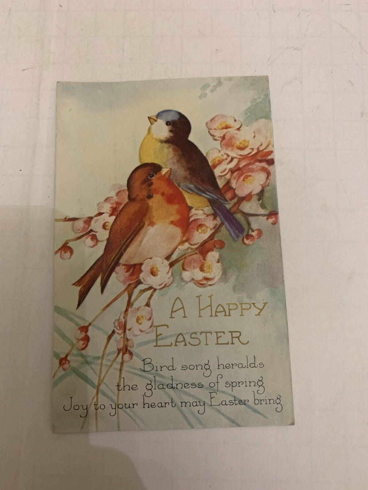 c.1920's A Happy Easter Embossed Postcard Birds on Branch