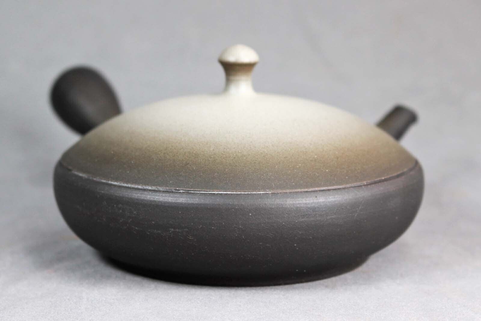 Tokoname Hand-made Flat Teapot by Junzo, #junzo003 : D111*H65mm, 130ml