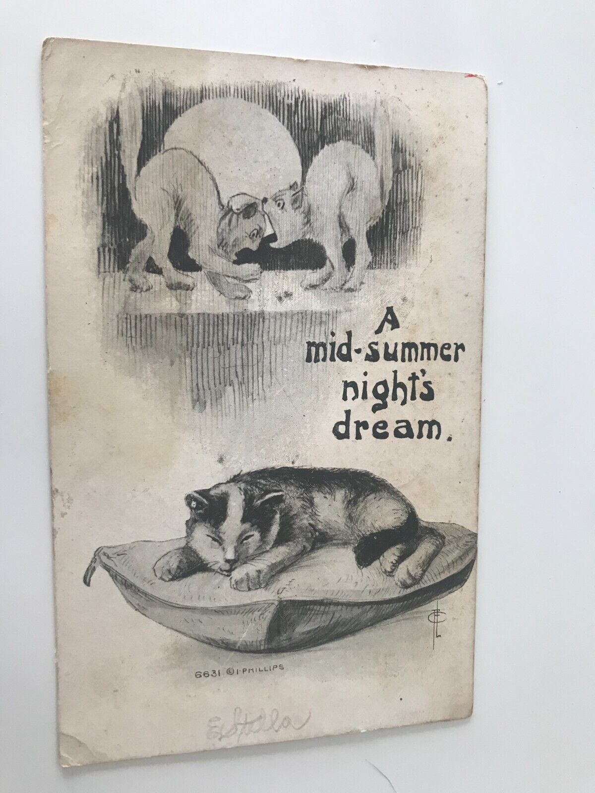 A Mid Summer Nights Dream Cats Theme Vintage Postcard