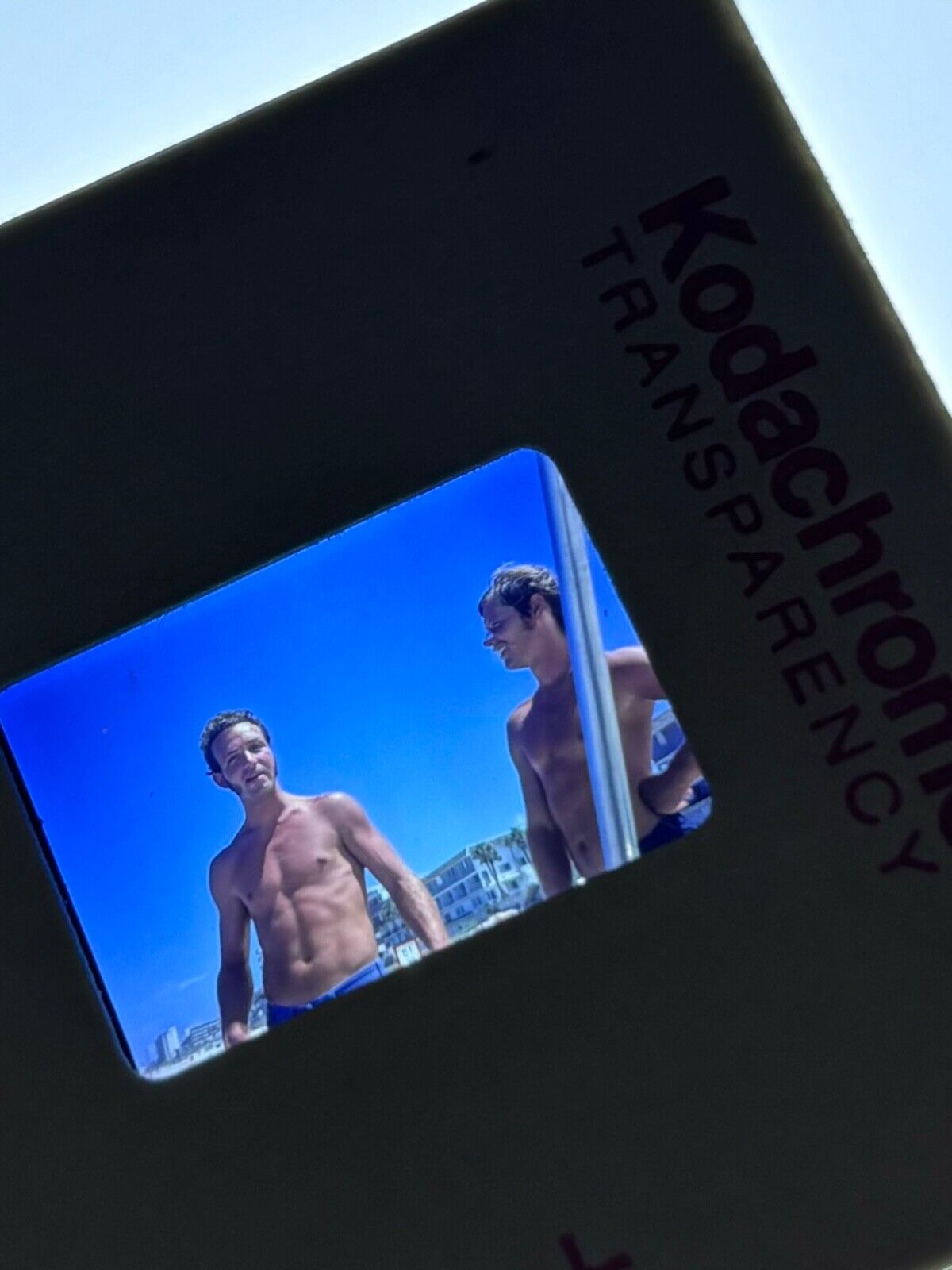 1970s Shirtless Muscle Man Swimsuit Men Vintage Gay Int 35mm Slide PHOTO