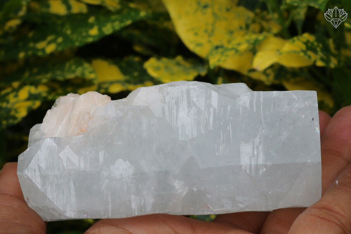 388 gm Apophyllite Minerals Specimen Indian Natural Cluster Home Decor Stone