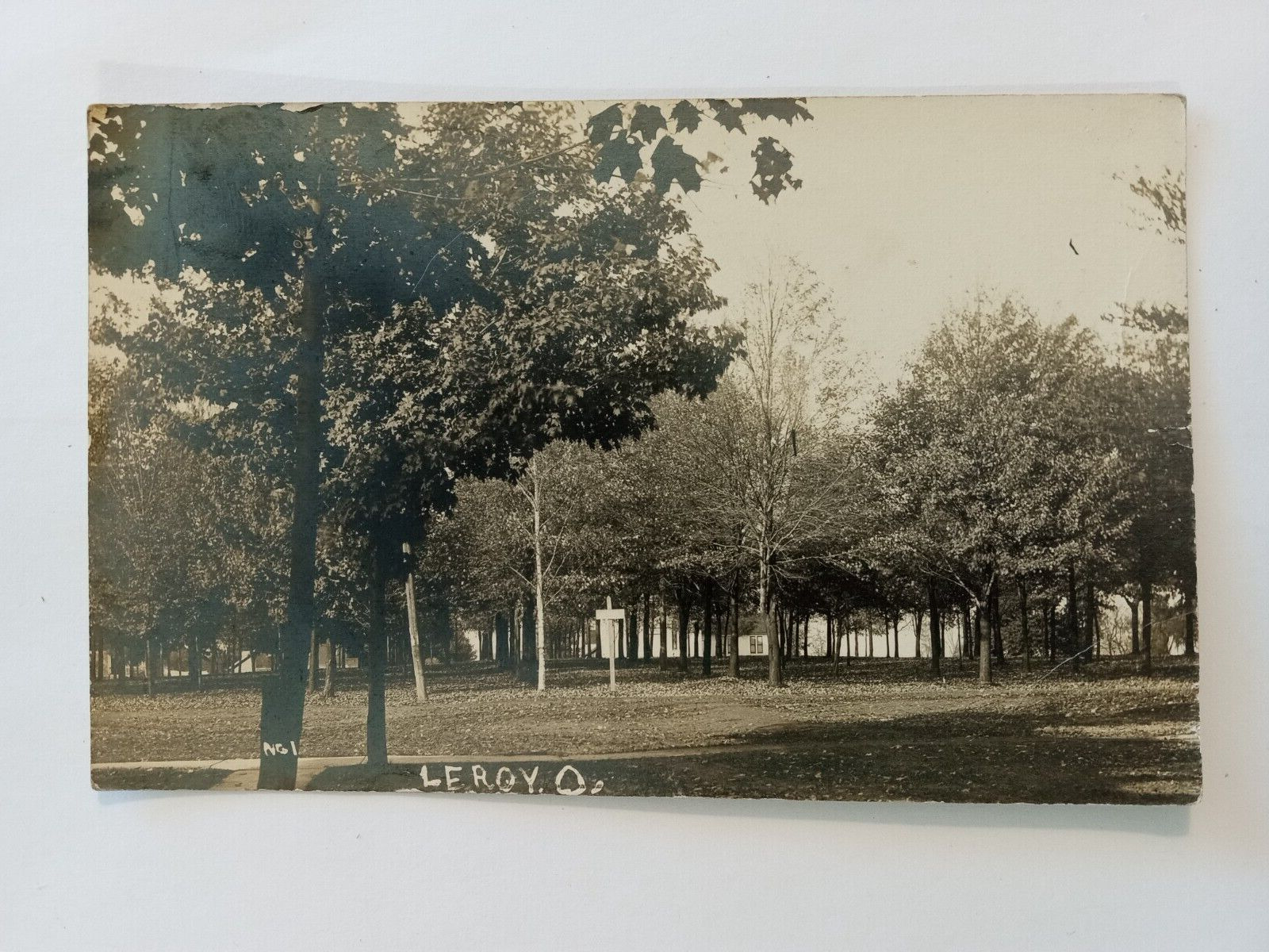 LEROY GEAUGA LAKE COUNTY OHIO REAL PHOTO POSTCARD 1910 PARK? TREE GROVE