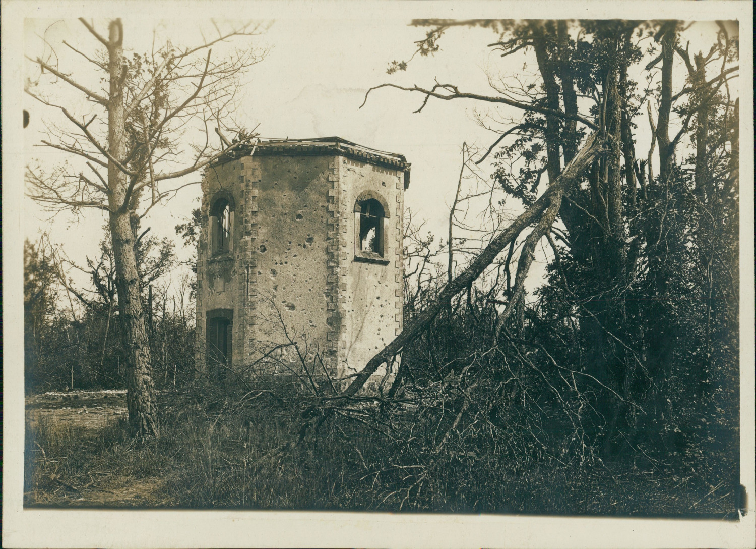 France, War 14/18, La Marne, Observation Post at Belleau Wood, 1918, V