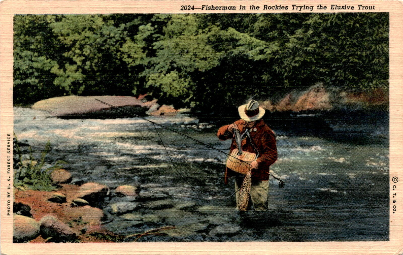 US Forest Service Rockies fisherman trout natural paradise Postcard