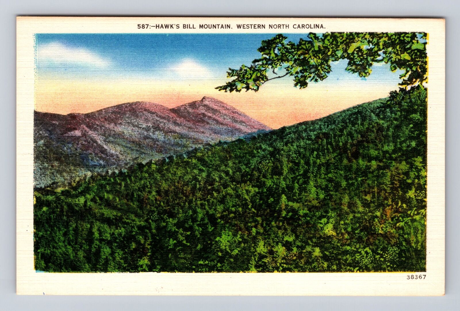 Hawks Bill Mountain NC-North Carolina, Panoramic View Mountain, Vintage Postcard