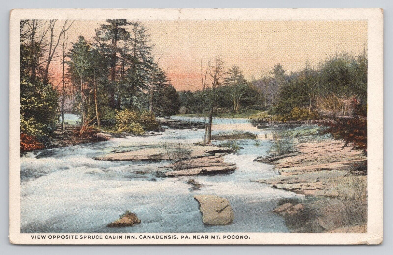 Postcard View Opposite Spruce Cabin Inn Canadensis Pennsylvania 1929