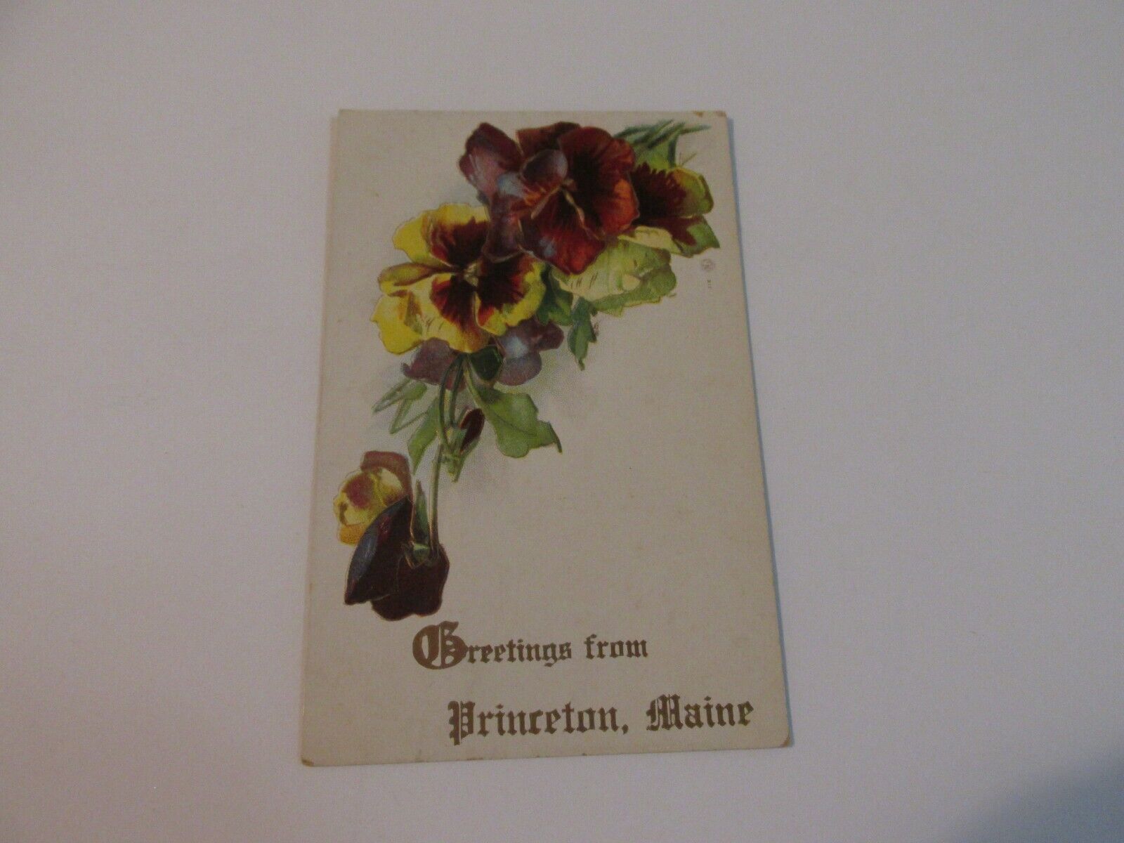 Antique Postcard, Princeton, Maine, Flowers