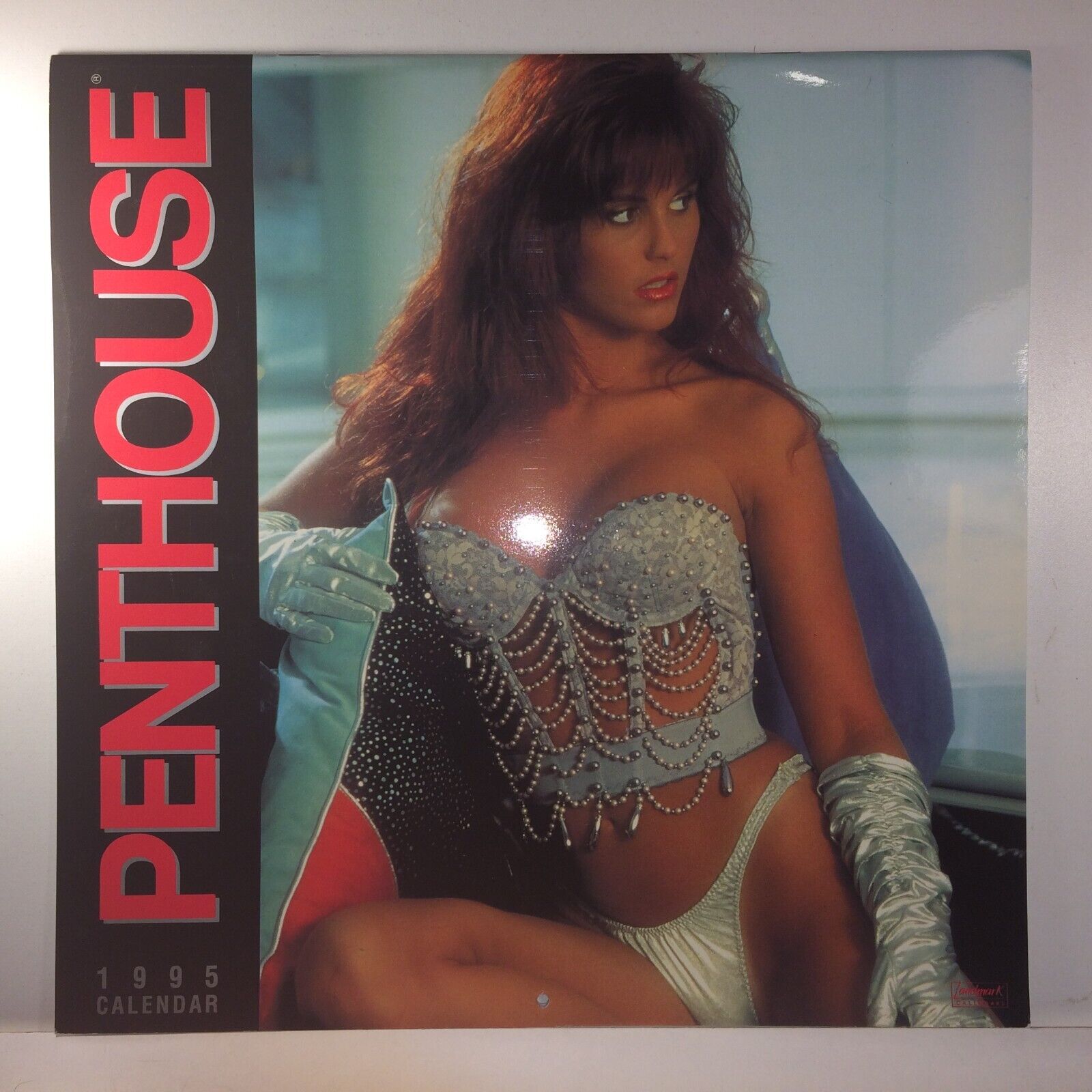 Pent house Wall Calendar 1995 - COMBINED SHIPPING ON ALL ITEMS