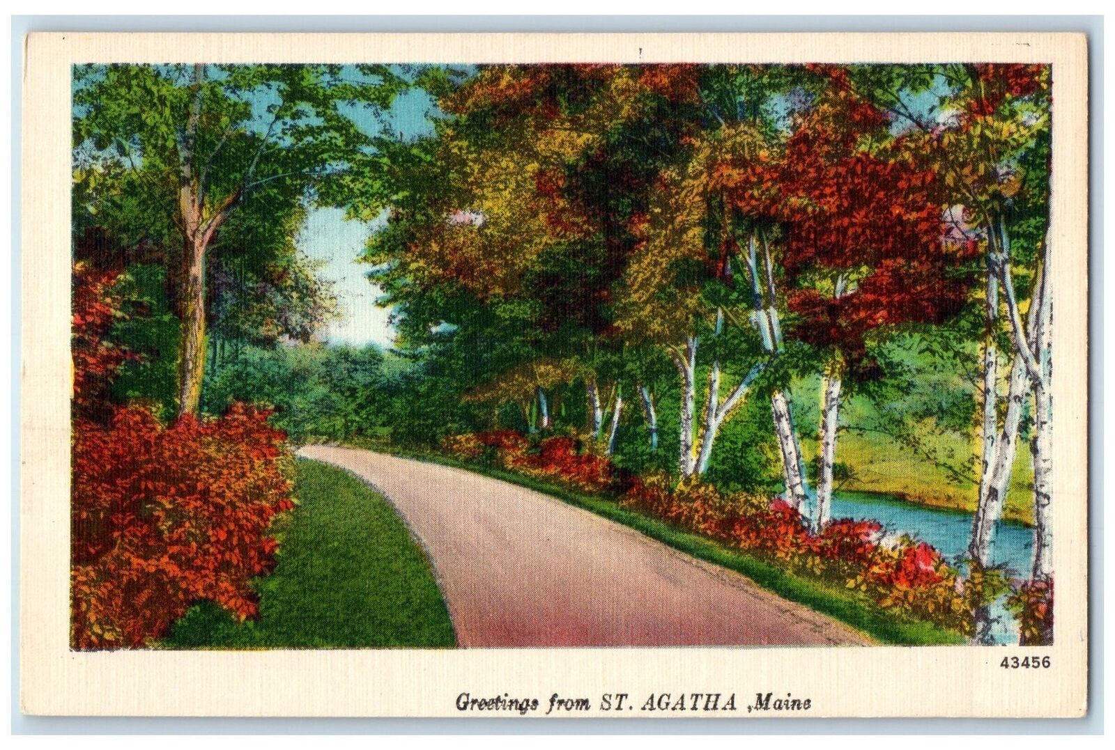 c1940's Greetings From St. Agatha Maine ME Unposted Country Road Trees Postcard