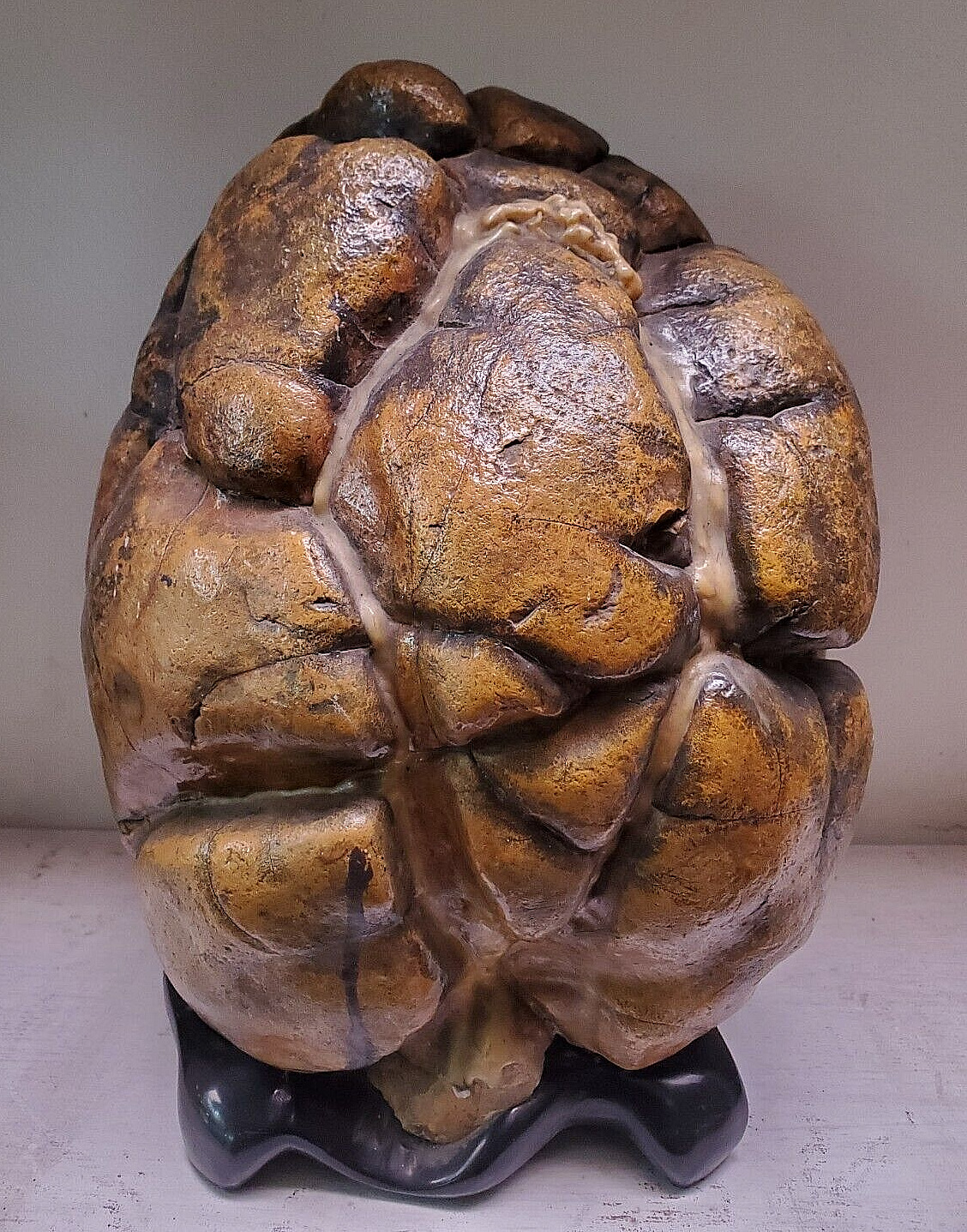 10kg Natural Septarium Dragon's Stone solid Septarian Rough Mineral Like Brain