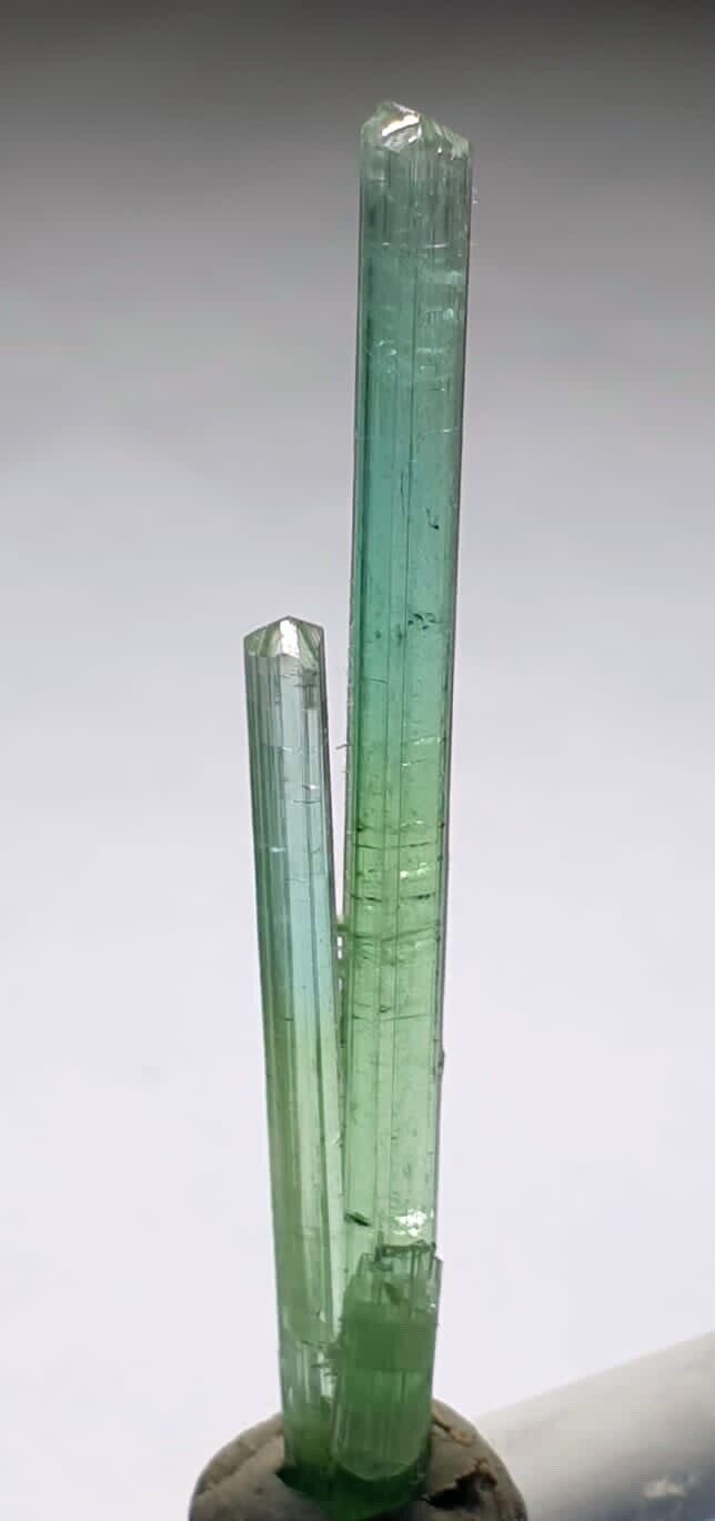 12.95 ct Aesthetic DT Seafoam Color Tourmaline Stepwise Crystal From @afg