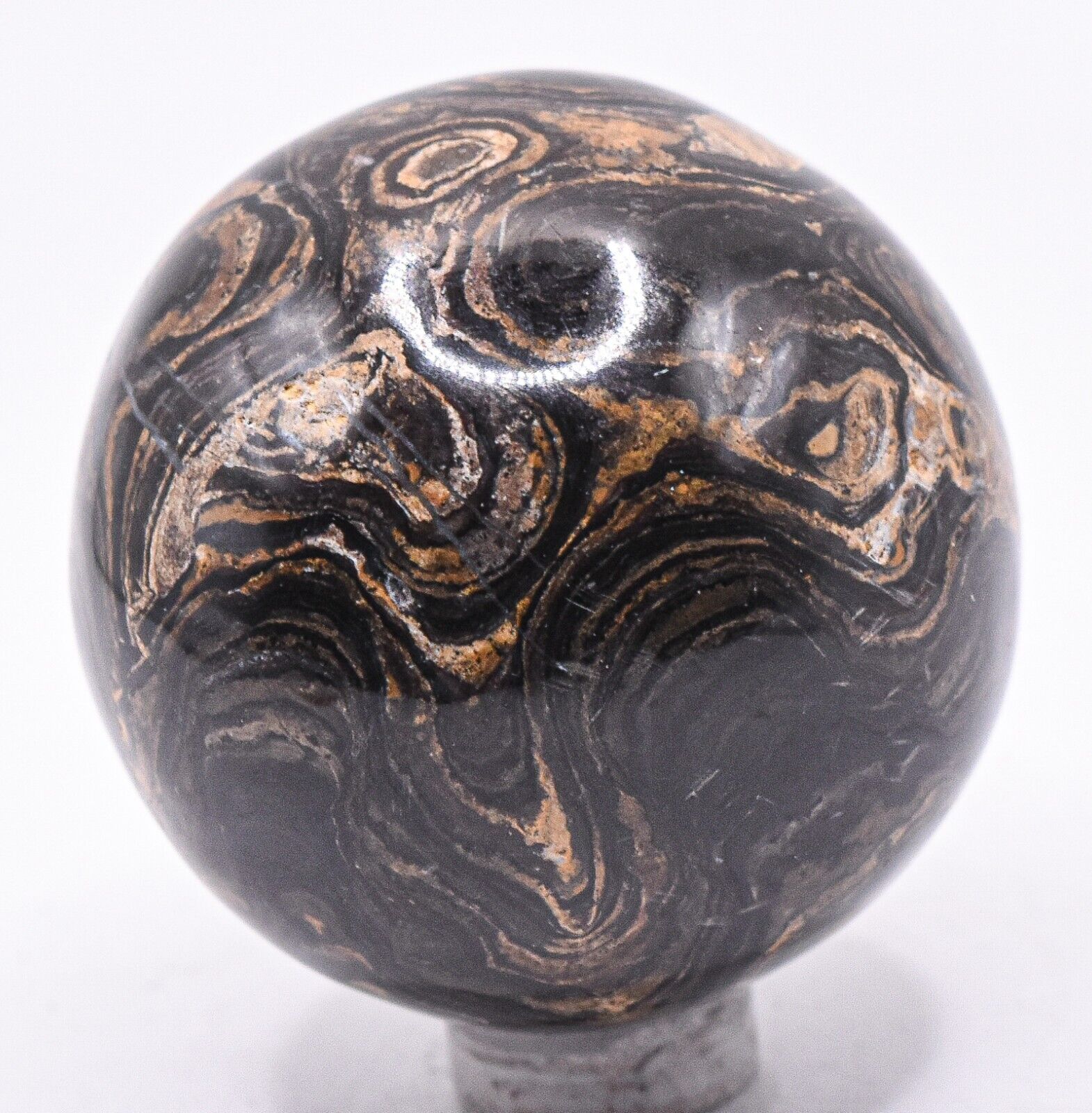 47mm 150g Stromatolite Fossil Sphere Polished Natural Gemstone Mineral Ball Peru