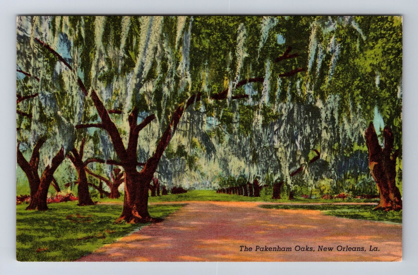 New Orleans LA-Louisiana, The Pakeham Oaks, Antique, Vintage Souvenir Postcard
