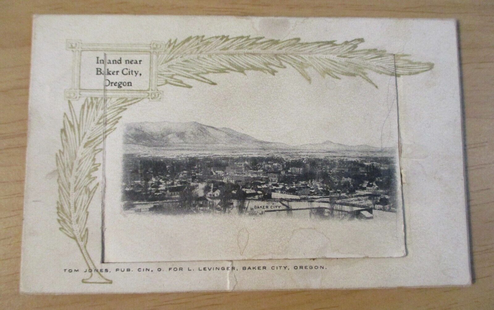 VTG Circa 1905 SOUVENIR MAIL CARD~Baker City OREGON~NOVELTY Fold-Out PHOTOS~