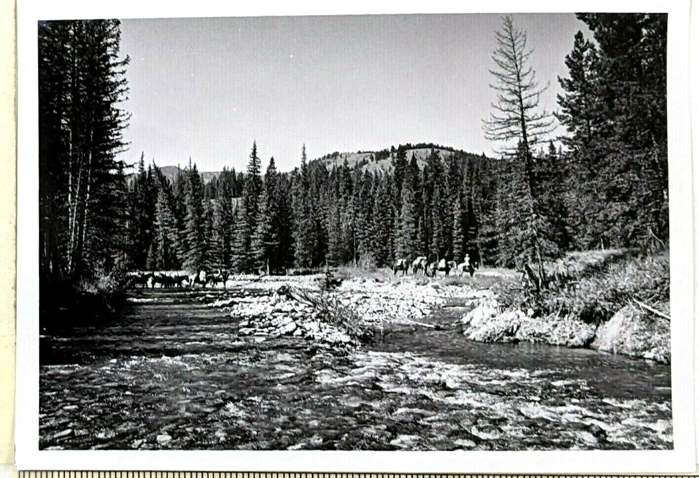 1970s Cowboys Ranchers Pack Horses Crossing Creek Western West Vintage Photo 