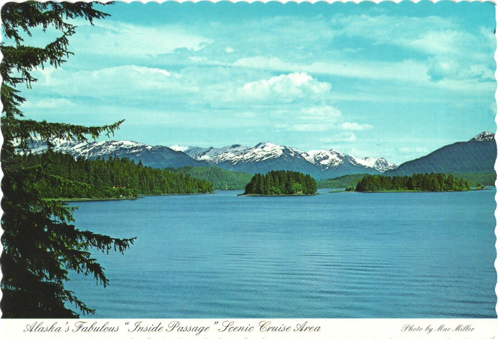 View of Alaska\'s Fabulous Inside Passage Scenic Cruise Area Postcard