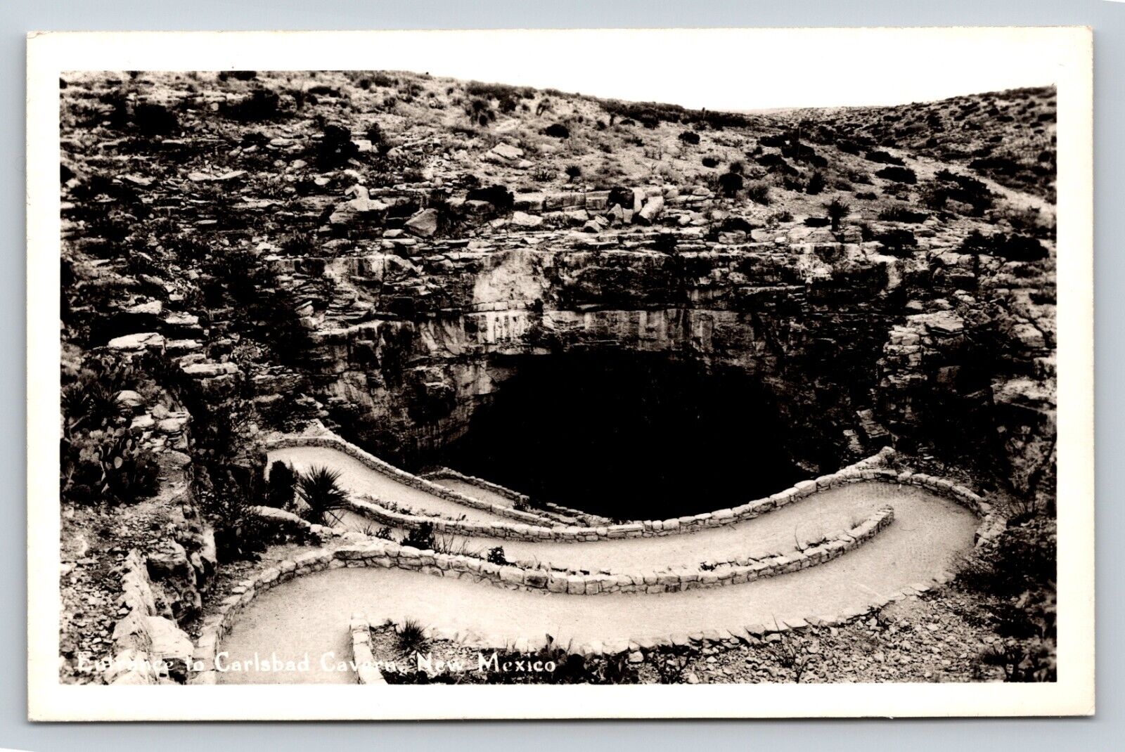 RPPC Entrance Pathway To Carlsbad Cavern NEW MEXICO VINTAGE Postcard EKC