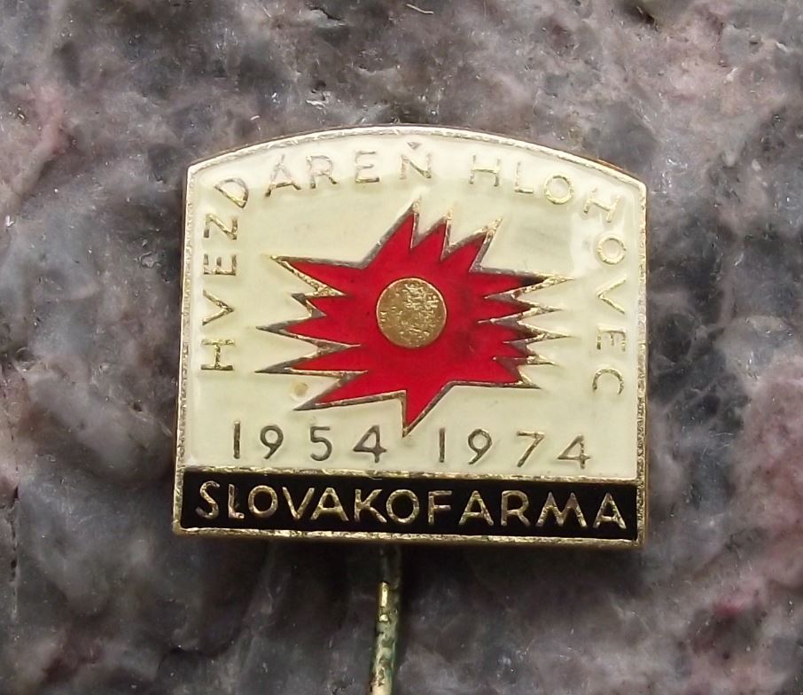 1974 Czechoslovakia Hlohovec Planetarium Astronomy Total Eclipse Sun Pin Badge