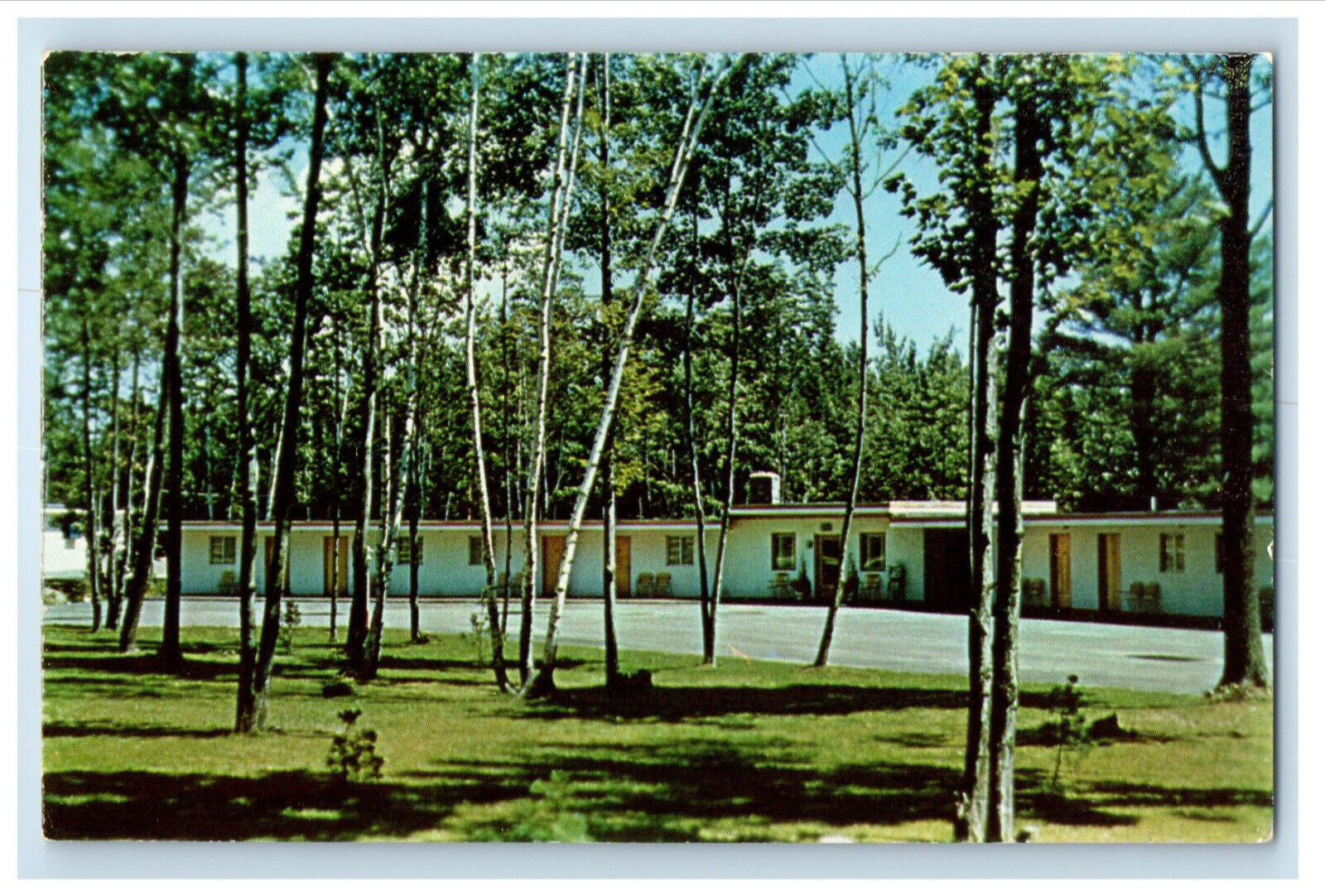 c1950s Thin Trees View, Shannon's Motel Yarmouth Maine ME Vintage Postcard