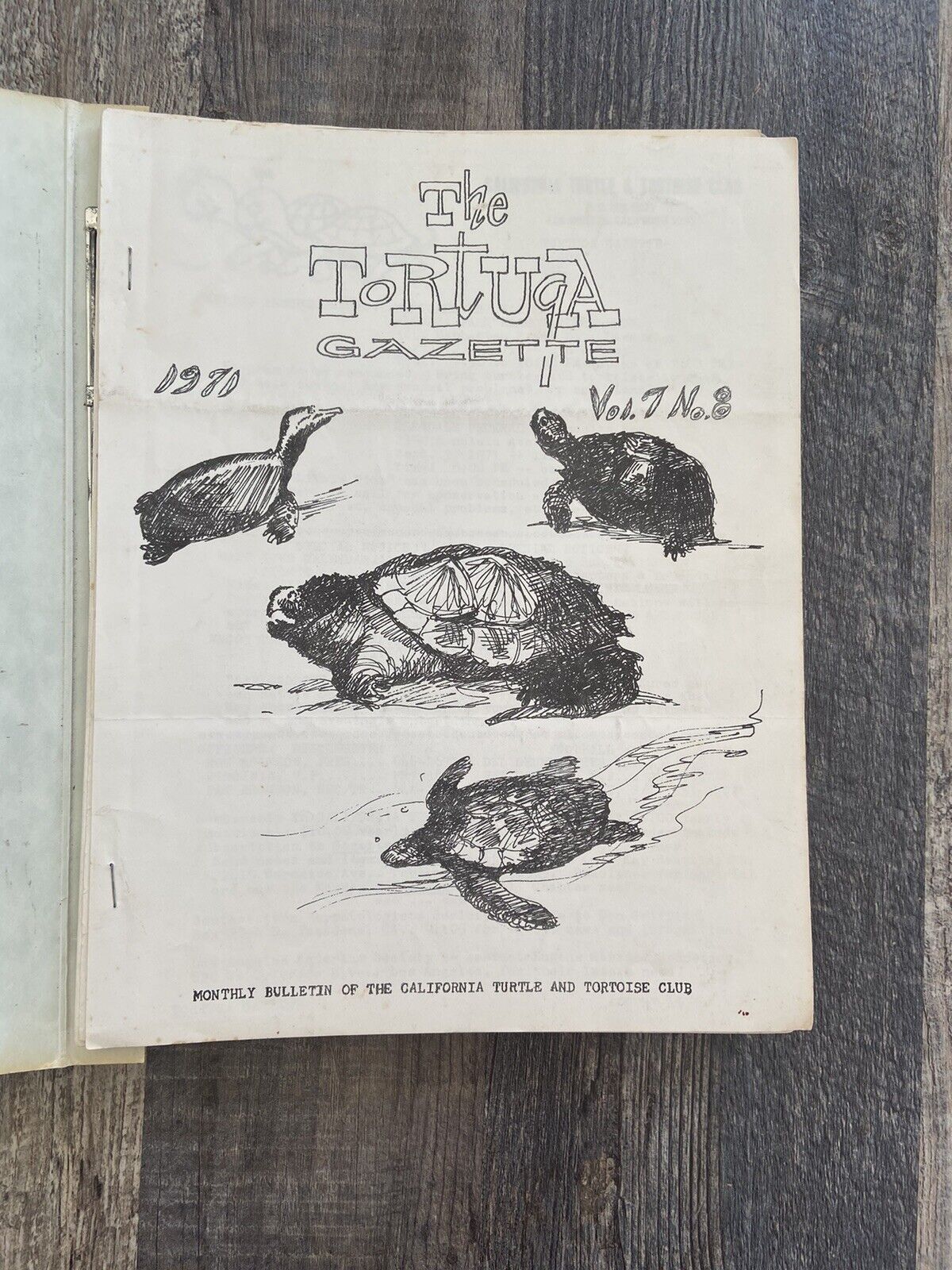 Vintage Tortuga Gazette Monthly Bulletin Newsletters Collection 1970\'s Ca Turtle