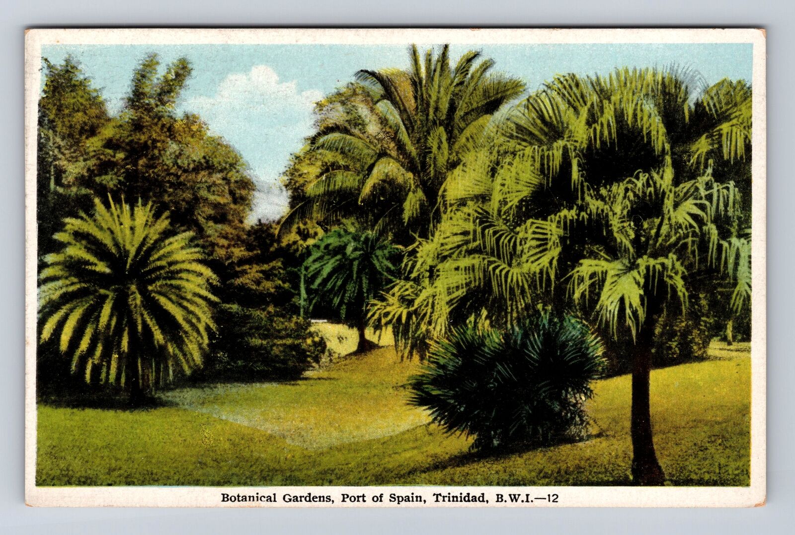 Trinidad CA-California, Botanical Gardens, Port Of Spain, Vintage Postcard