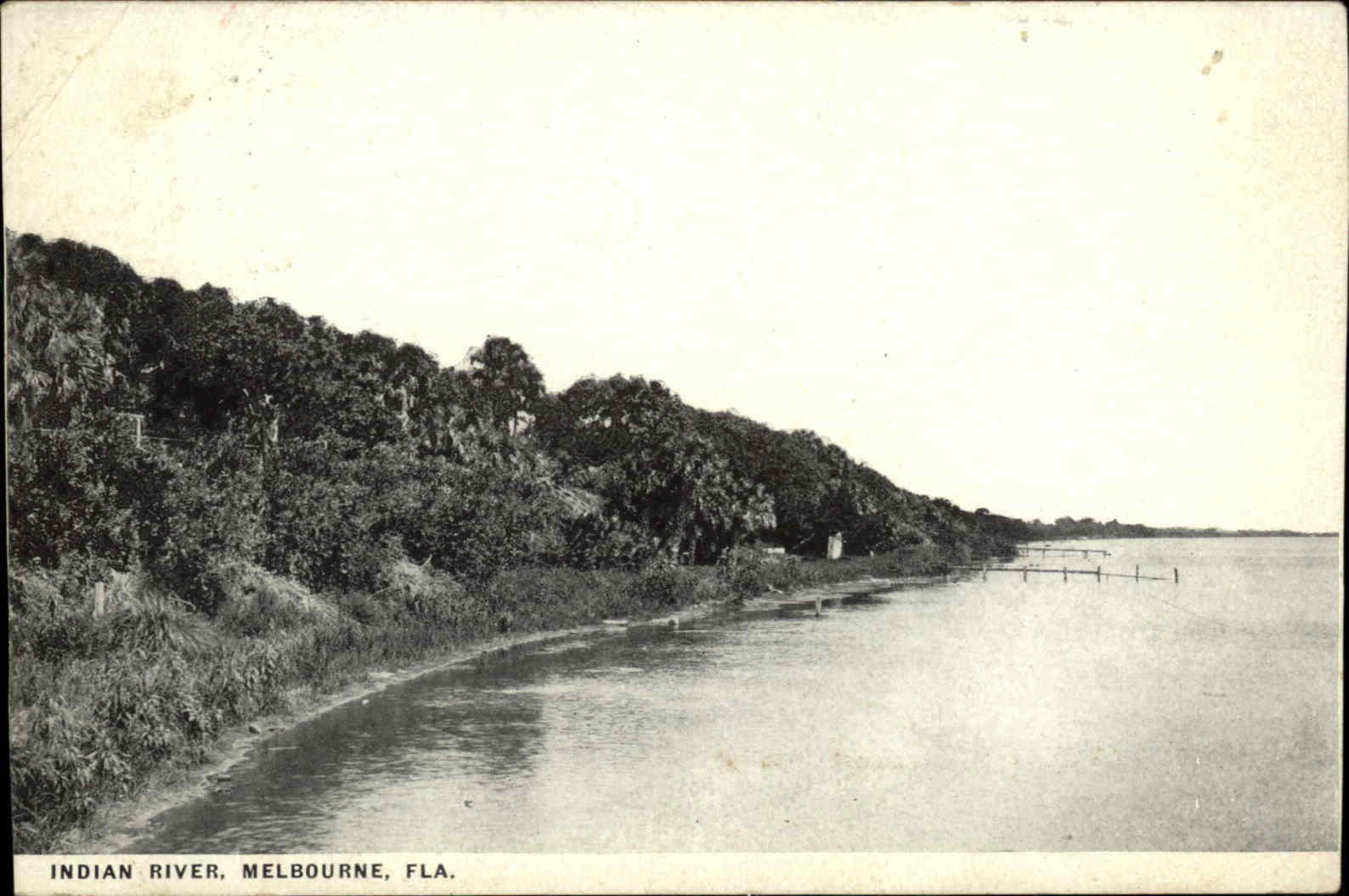 Melbourne Florida FL Indian River c1920s-30s Postcard