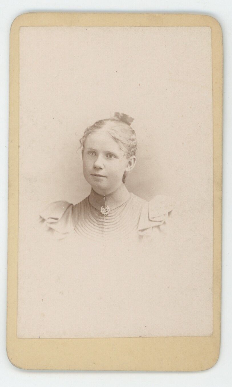 Antique CDV Circa 1870s Beautiful Young Girl in Dress Schnieber Asbury Park, NJ