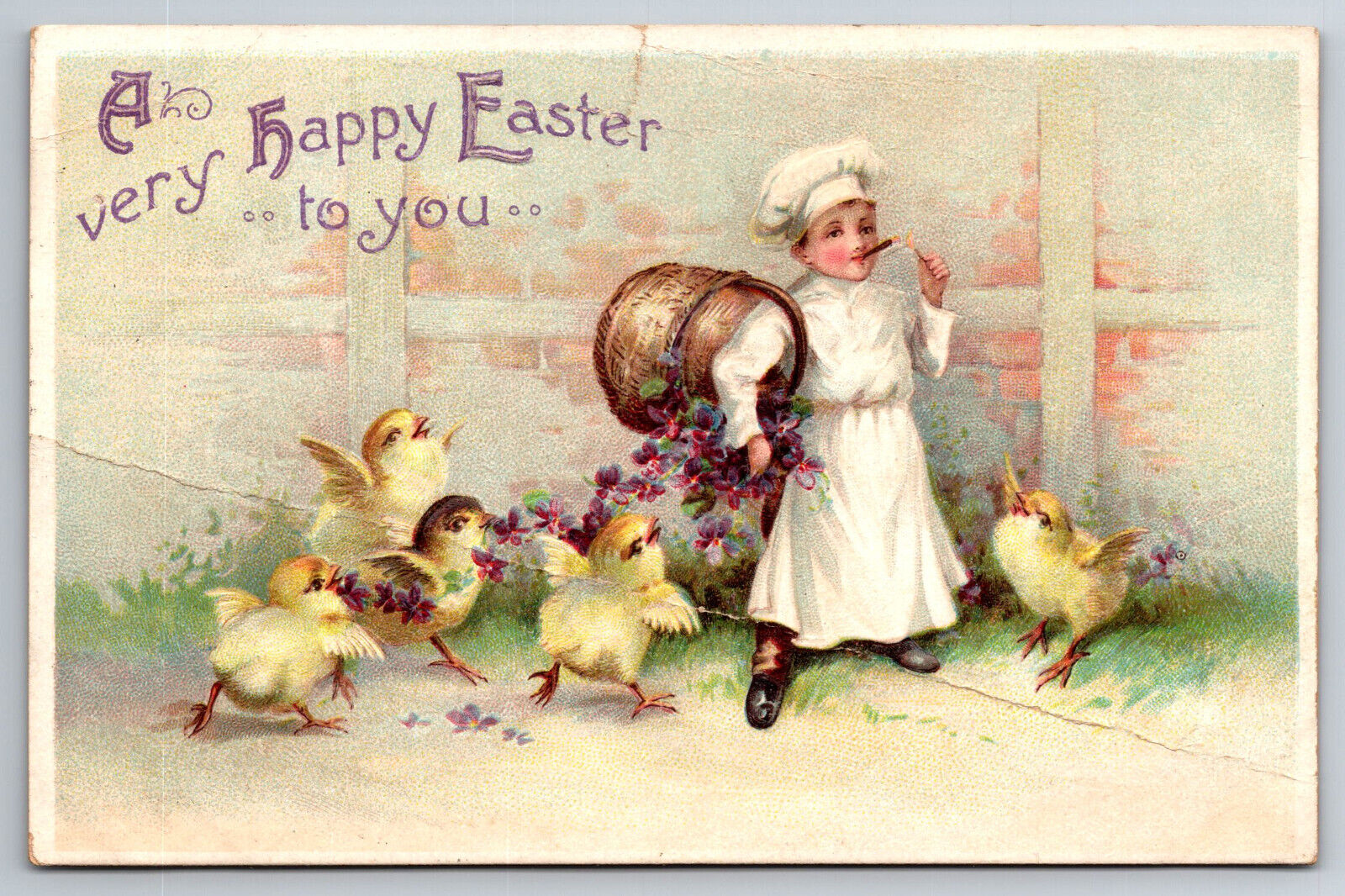 Vintage Postcard Easter Chicks Little Boy Chef Smoking Cigar c1911 Divided Back