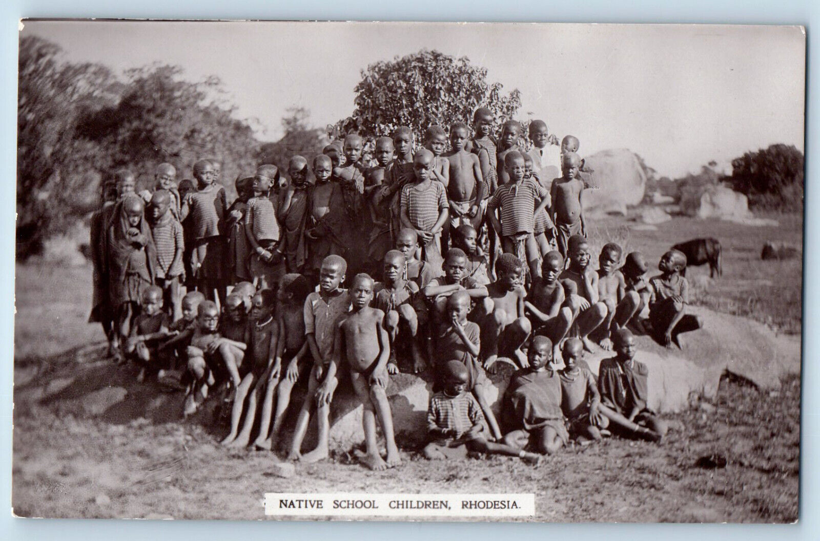 Rhodesia Postcard Native School Children Rhodesia State c1940's RPPC Photo