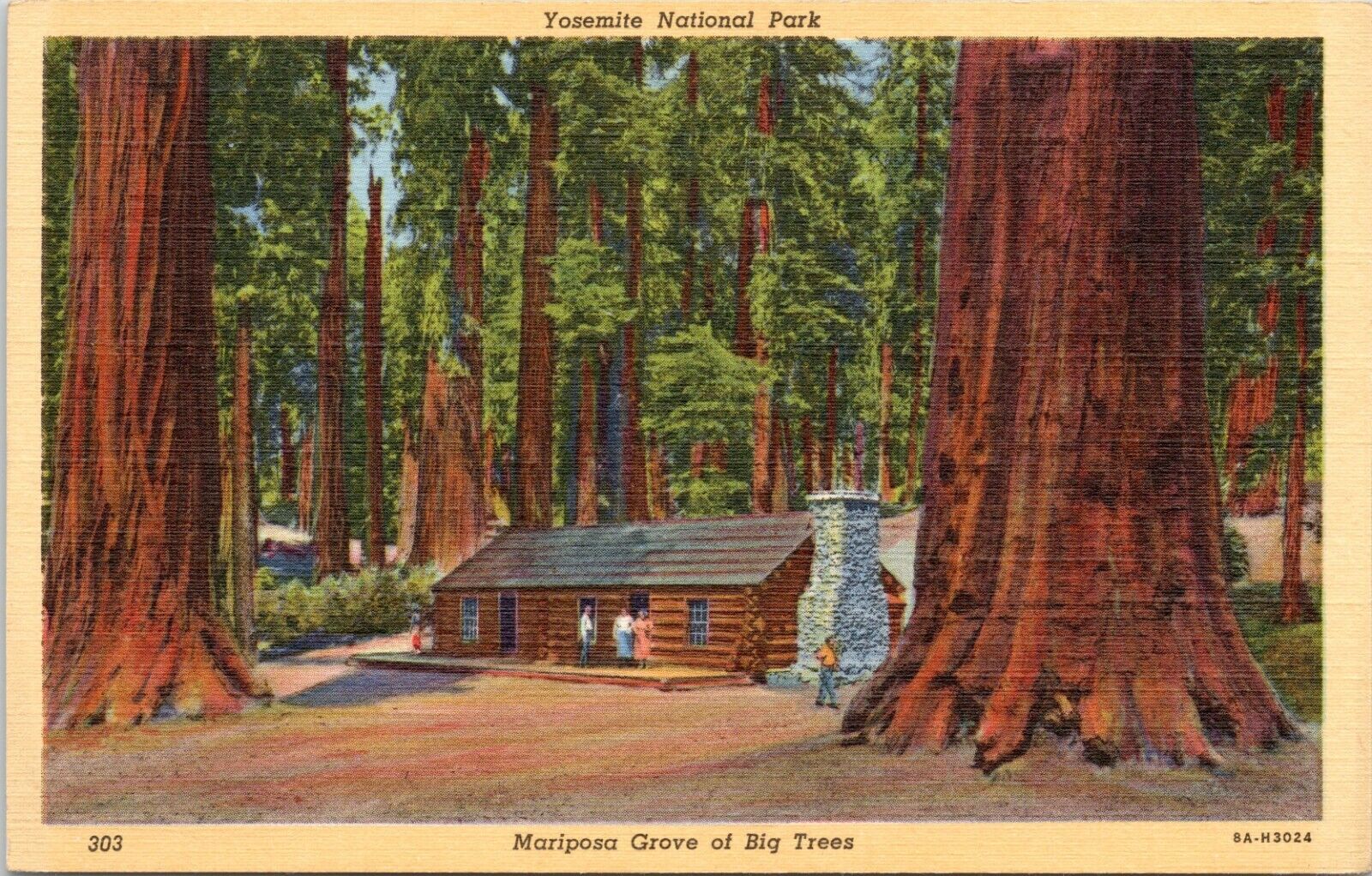 1938 Yosemite National Park Mariposa Grove Of Big Trees California Postcard 77