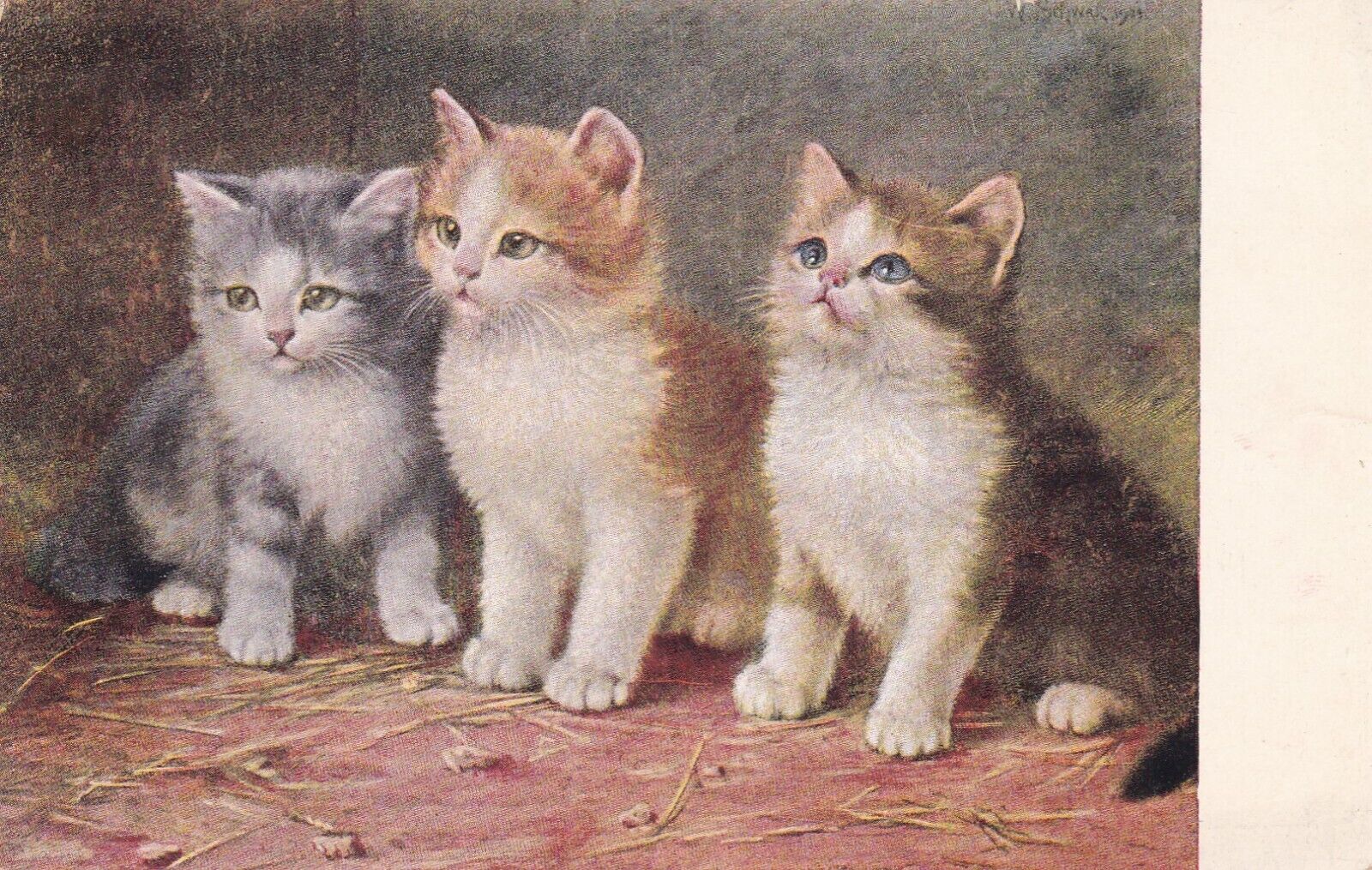 Three Kittens Postcard 1910\'s