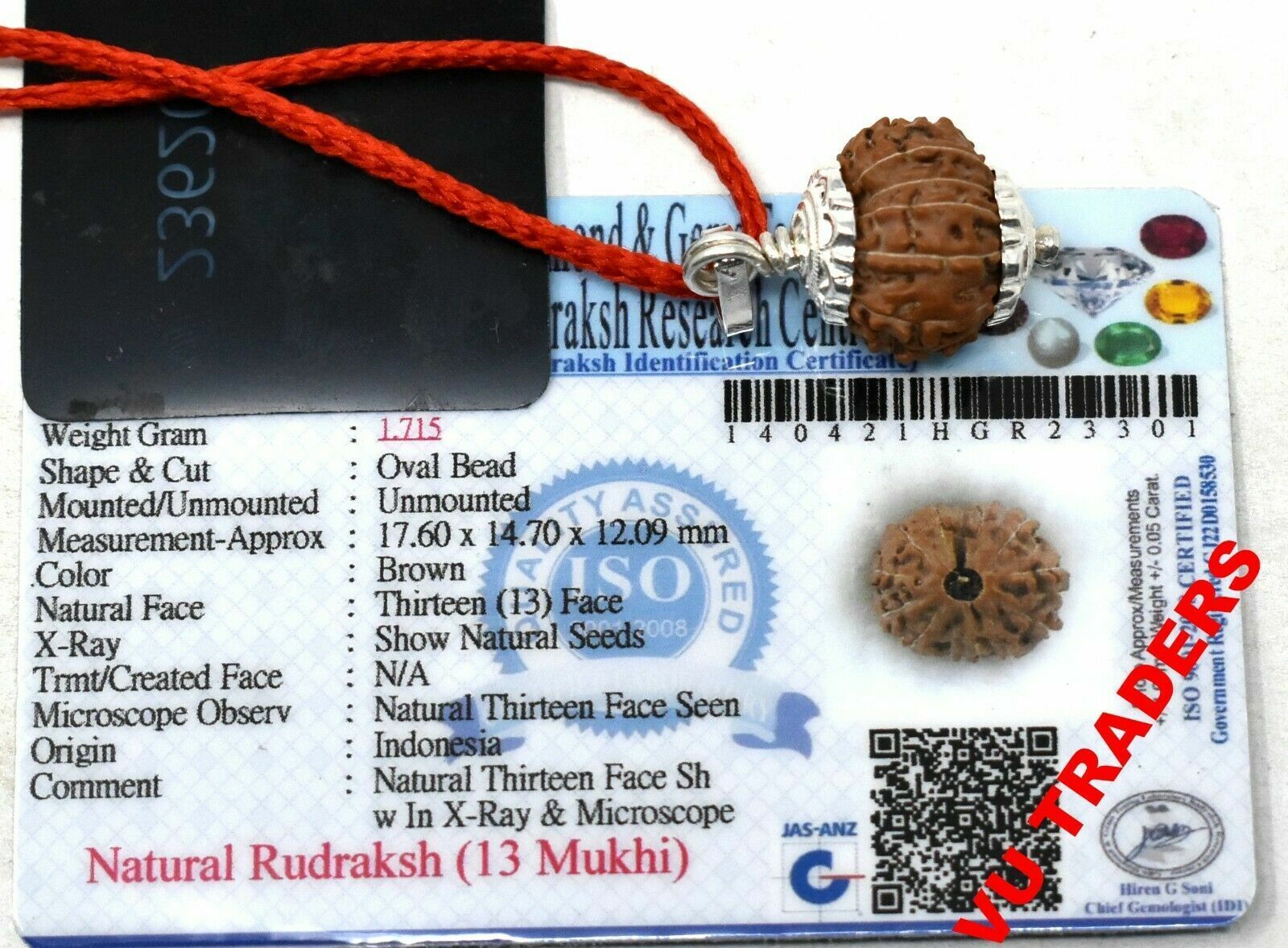 13 Mukhi Rudraksha Thirteen Face Rudraksh Java Bead Lab Certified Size 16-18 MM