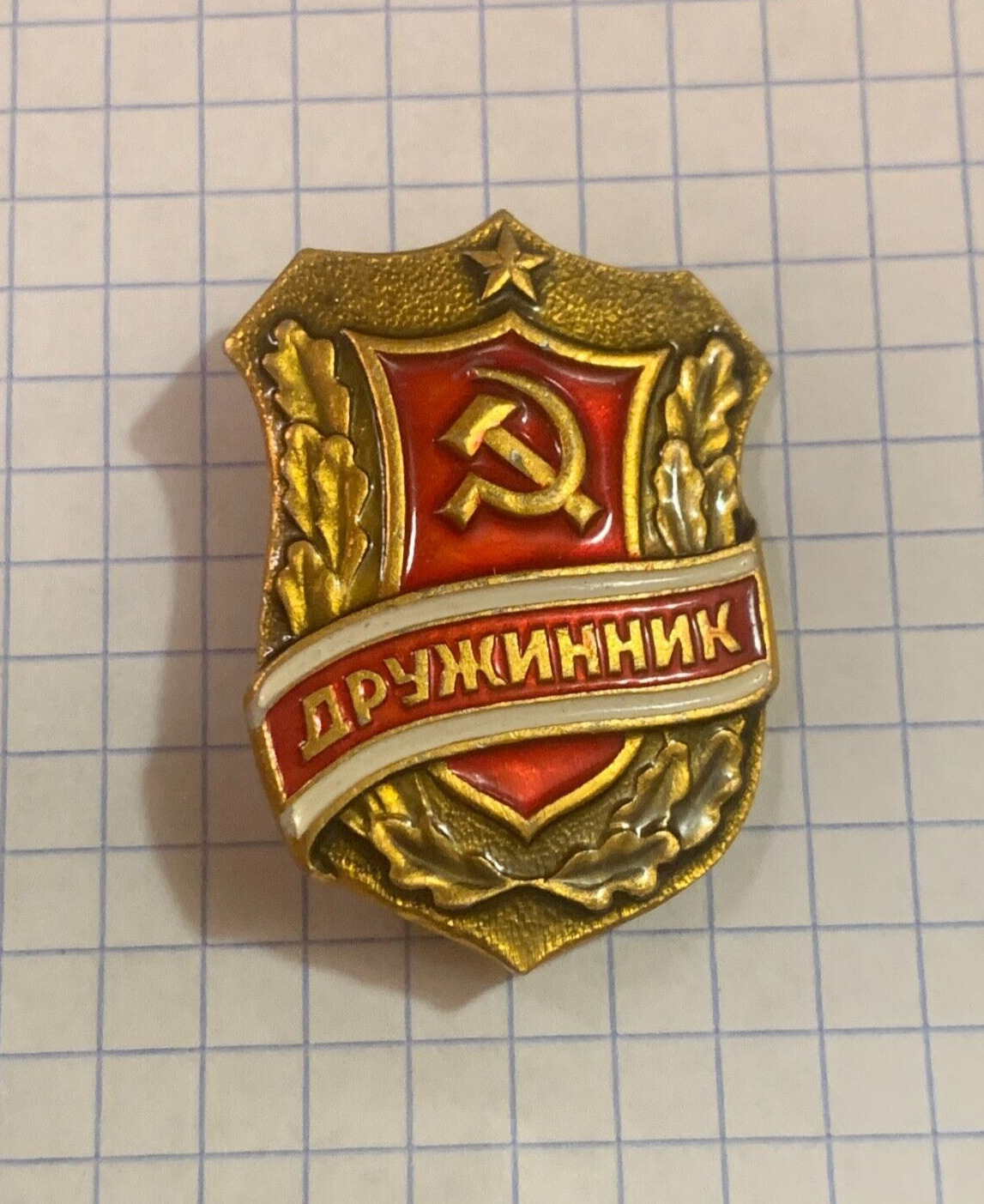 Badges Pin Vigilante Druzhinik Ukraine Russia Soviet USSR Vintage