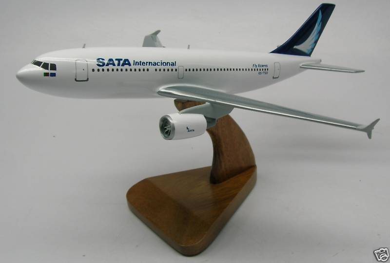 A-310 SATA International Air Airbus 300 Airplane Wood Model  Big