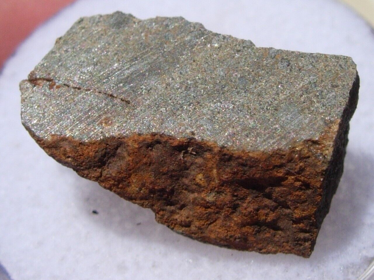 2.71 grams Clarendon (C)  Meteorite (L4) cut fragment found in Texas 2015 w/COA