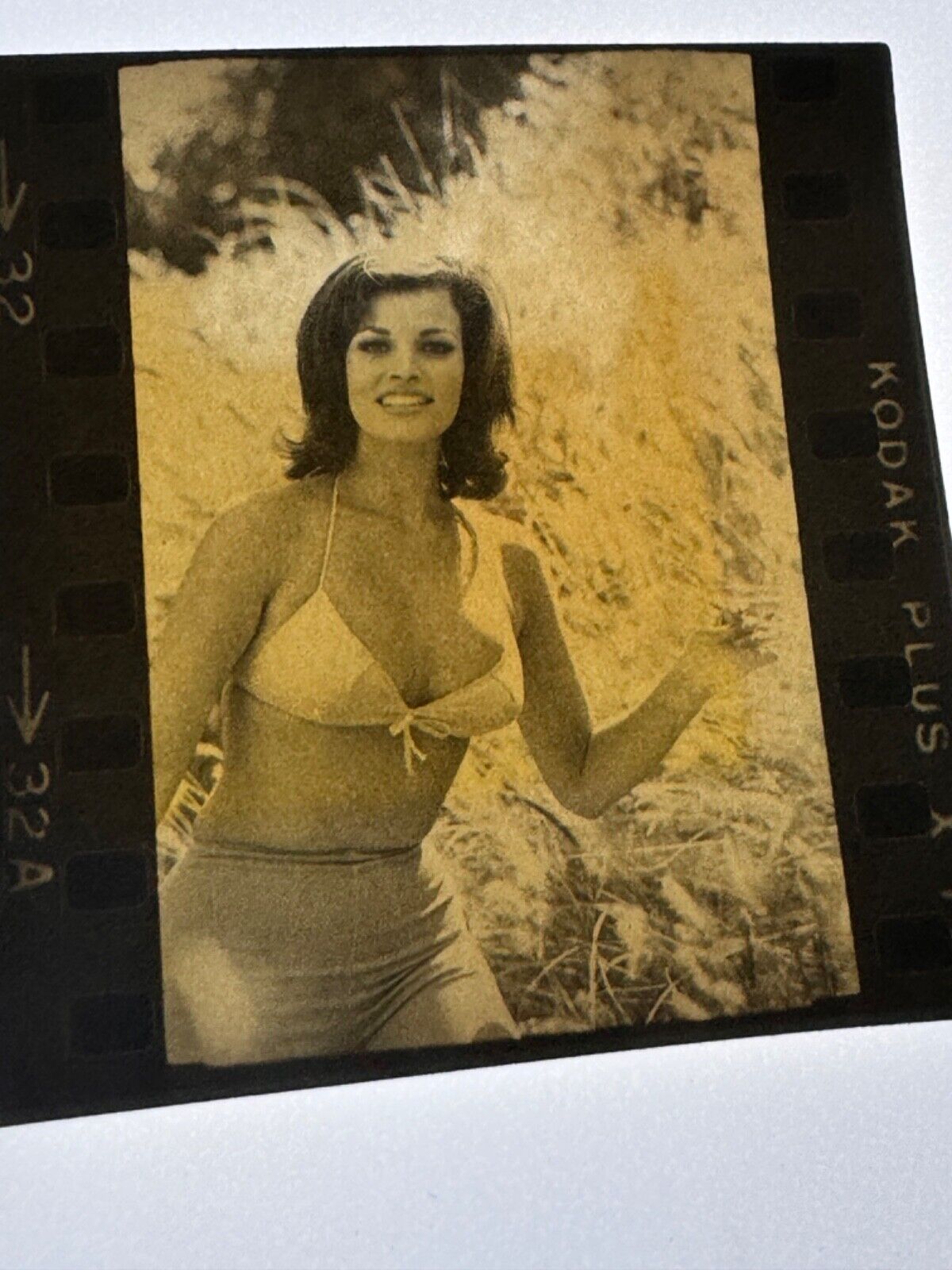 Vintage Raquel Welch Negative & Contact Sheet Photo