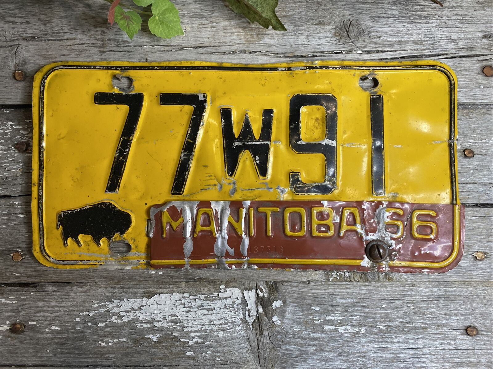 Vintage Manitoba Canada License Plate 77W91 with 1966 Tab