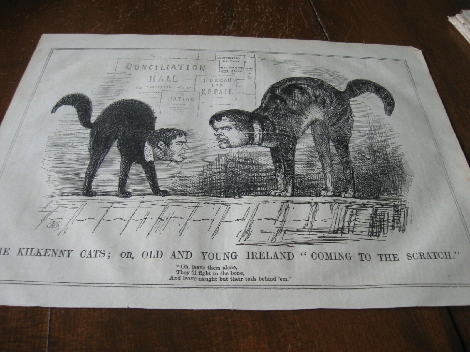 1846 Original POLITICAL CARTOON - KILKENNY Cats IRELAND IRISH Old Young FIGHT
