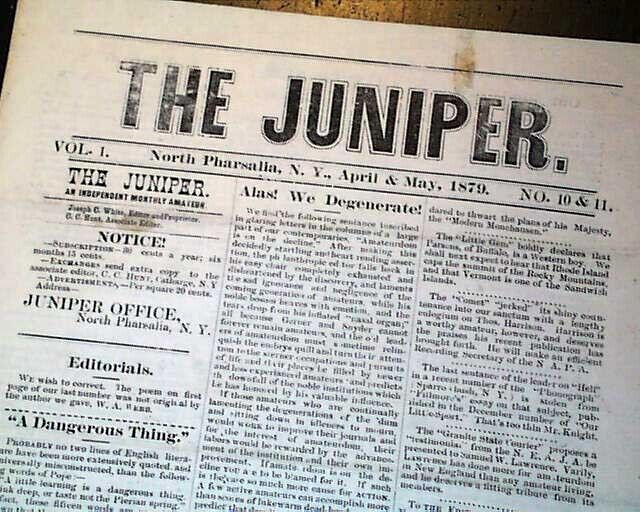 Rare NORTH PHARSALIA NY Chenango County New York Amateur Press 1879 Newspaper 