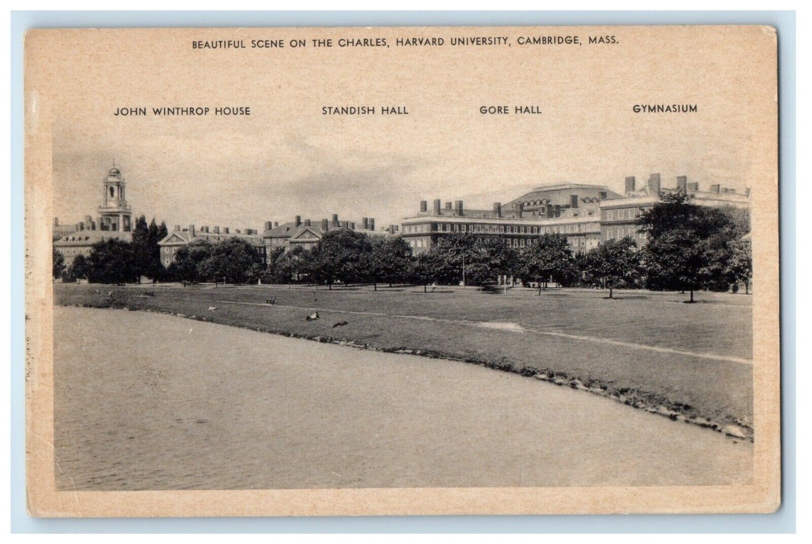 c1930\'s Beautiful Scene On The Charles Harvard University Cambridge MA Postcard