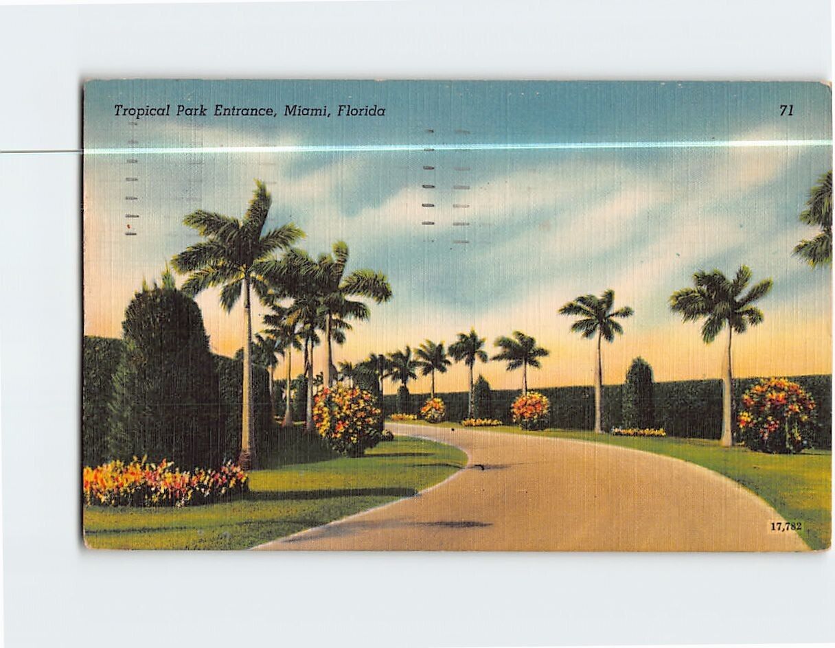 Postcard Tropical Park Entrance Miami Florida USA