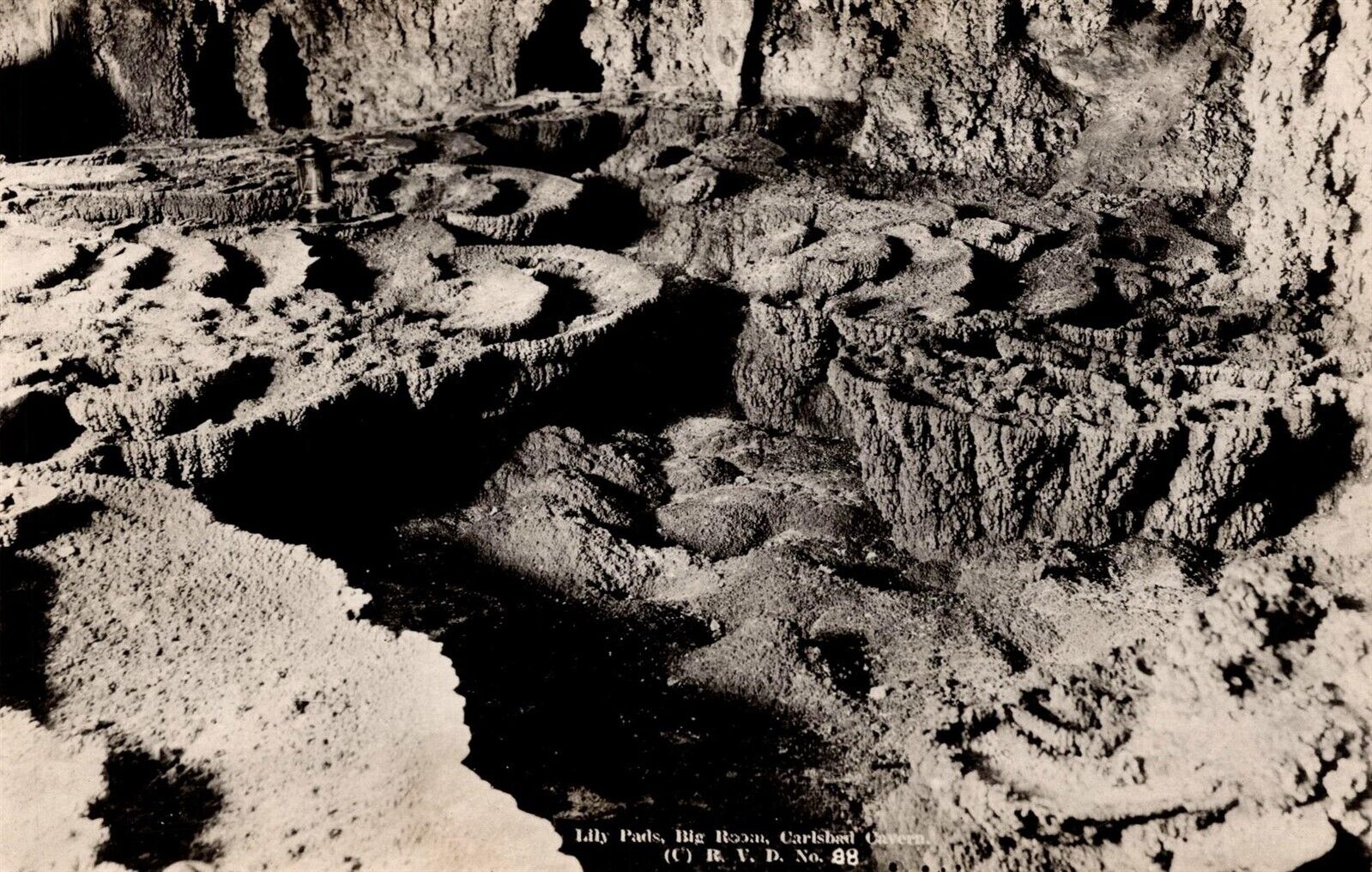 RPPC Carlsbad Caverns National Park NM Lily Pad Formation Big Room Vtg Postcard