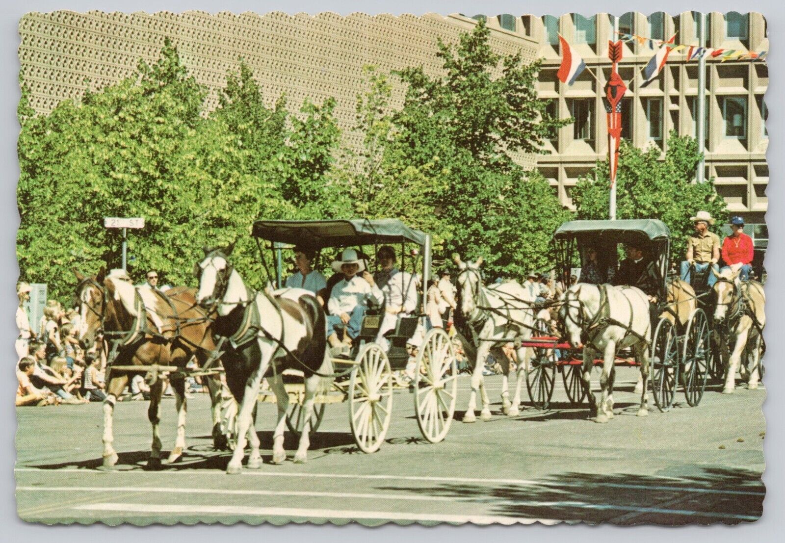 Cheyenne Wyoming, Frontier Days Parade, Horse Drawn Carriages, Vintage Postcard