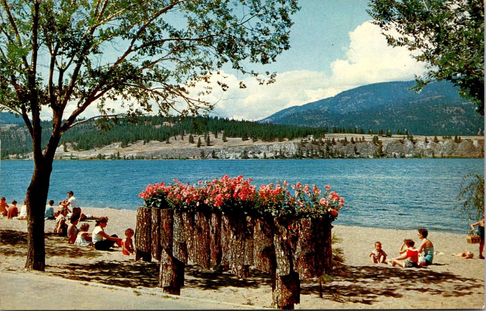 The Bathing Beach at Kelowna, B. C. Home of the Famous Regatta Postcard & People