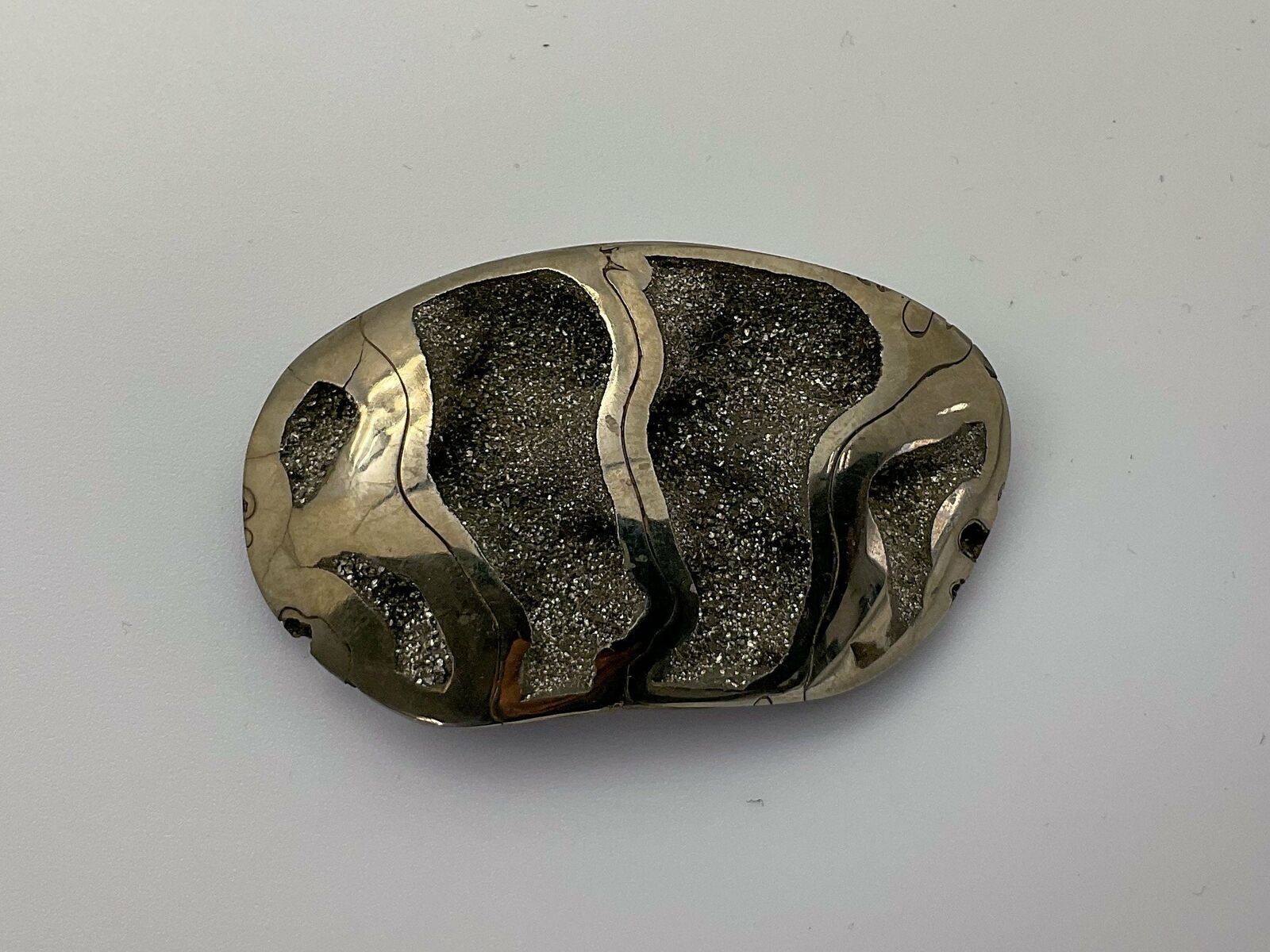 Amazing pyritized ammonite specimen