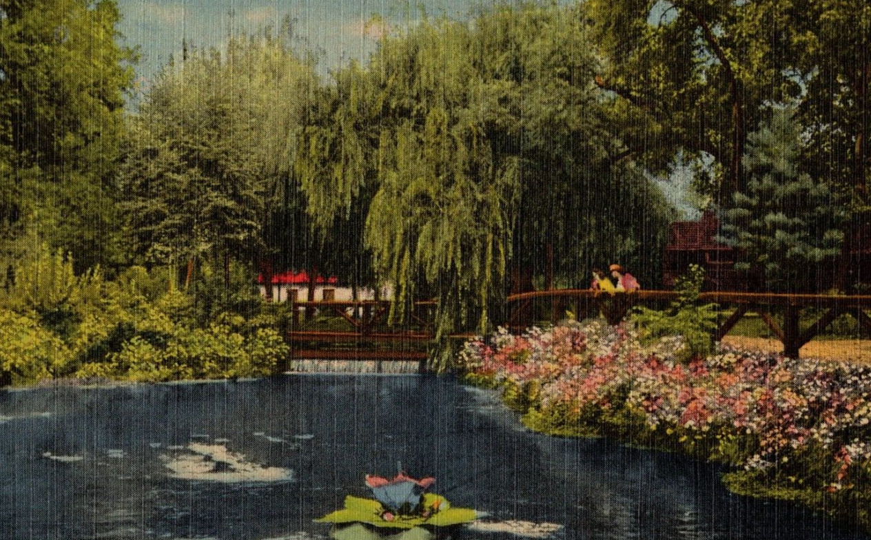 Vintage Postcard 1930-1945 Watching Trout Stream Blue Hole Castalia Ohio