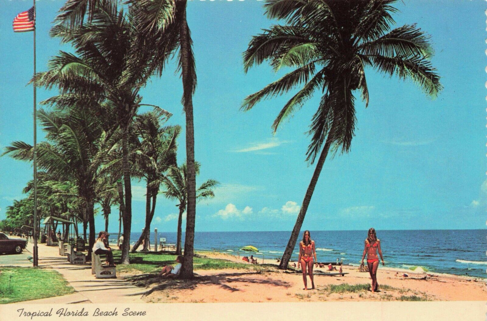 Postcard Tropical Florida Beach Scene - Florida\'s 1500 Miles of Sea Coast VTG